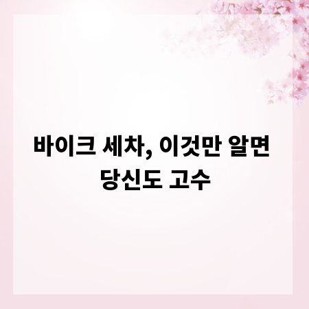 바이크 세차, 전문가처럼 하는 특별한 비법 공개