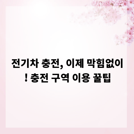 전기차 충전 스트레스 해소! 충전 구역 사용법 총정리