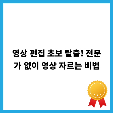 영상 편집 초보 탈출! 전문가 없이 영상 자르는 비법