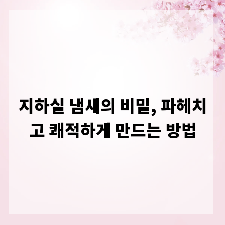 지하실 냄새의 비밀, 파헤치고 쾌적하게 만드는 방법