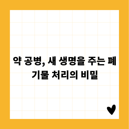 약 공병, 새 생명을 주는 폐기물 처리의 비밀
