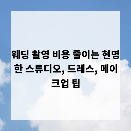웨딩 촬영 비용 줄이는 현명한 스튜디오, 드레스, 메이크업 팁