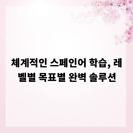 체계적인 스페인어 학습, 레벨별 목표별 완벽 솔루션