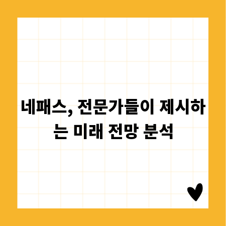 네패스, 전문가들이 제시하는 미래 전망 분석