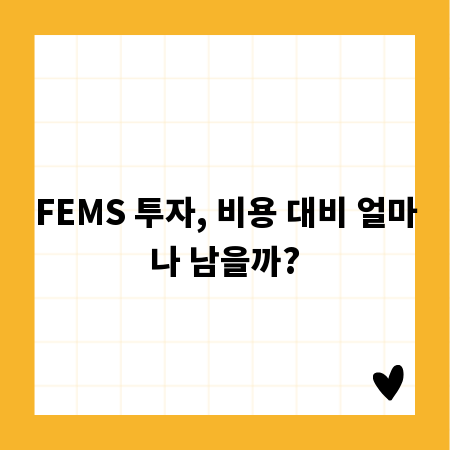 FEMS 투자, 비용 대비 얼마나 남을까?
