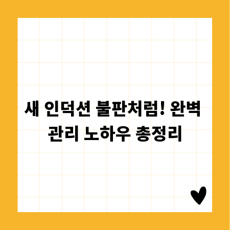 새 인덕션 불판처럼! 완벽 관리 노하우 총정리