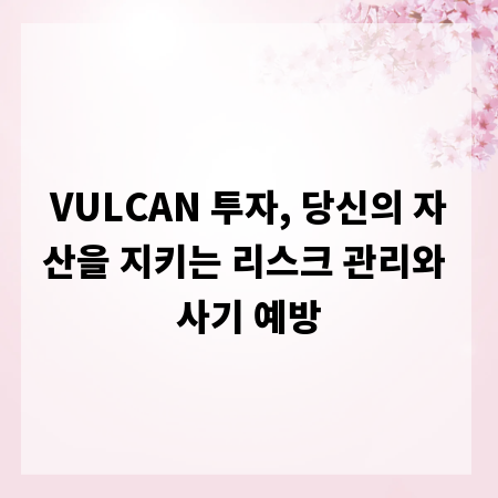 VULCAN 투자, 당신의 자산을 지키는 리스크 관리와 사기 예방