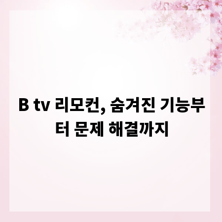 B tv 리모컨, 숨겨진 기능부터 문제 해결까지