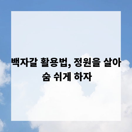 백자갈 활용법, 정원을 살아 숨 쉬게 하자