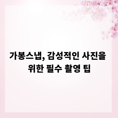 가봉스냅, 감성적인 사진을 위한 필수 촬영 팁