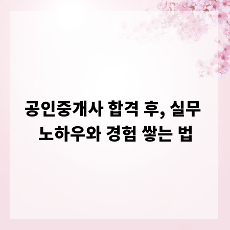 공인중개사 합격 후, 실무 노하우와 경험 쌓는 법