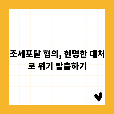 조세포탈 혐의, 현명한 대처로 위기 탈출하기