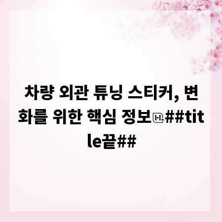 차량 외관 튜닝 스티커, 변화를 위한 핵심 정보
##title끝##