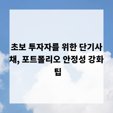 초보 투자자를 위한 단기사채, 포트폴리오 안정성 강화 팁