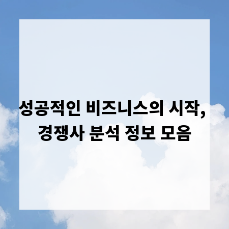 성공적인 비즈니스의 시작, 경쟁사 분석 정보 모음