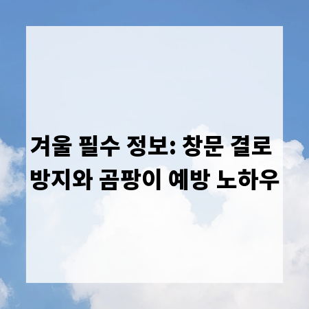 겨울 필수 정보: 창문 결로 방지와 곰팡이 예방 노하우