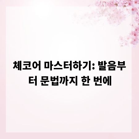 체코어 마스터하기: 발음부터 문법까지 한 번에