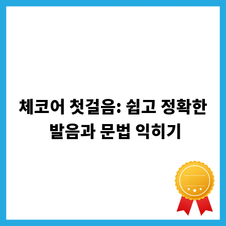 체코어 첫걸음: 쉽고 정확한 발음과 문법 익히기