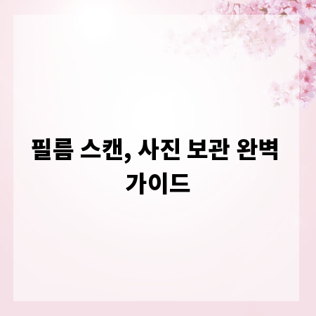 필름 스캔, 사진 보관 완벽 가이드