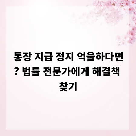 통장 지급 정지 억울하다면? 법률 전문가에게 해결책 찾기