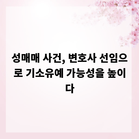 성매매 사건, 변호사 선임으로 기소유예 가능성을 높이다