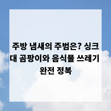 주방 냄새의 주범은? 싱크대 곰팡이와 음식물 쓰레기 완전 정복