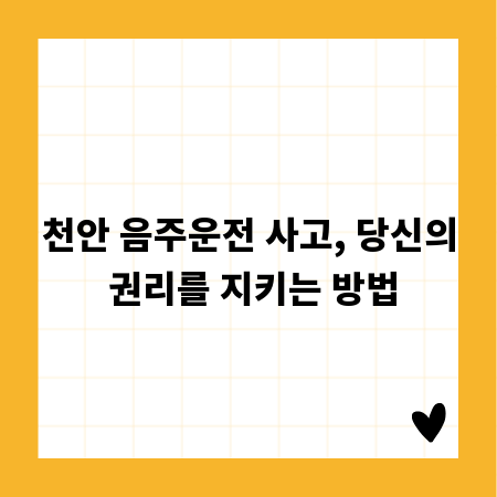 천안 음주운전 사고, 당신의 권리를 지키는 방법