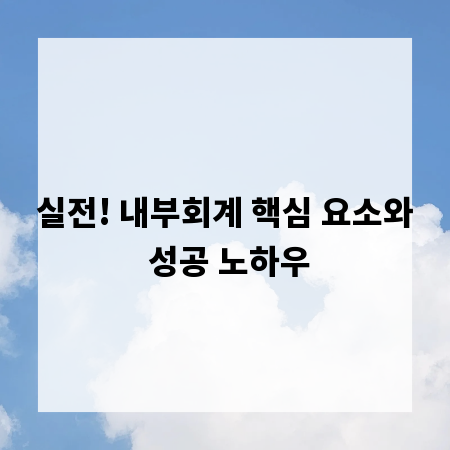 실전! 내부회계 핵심 요소와 성공 노하우