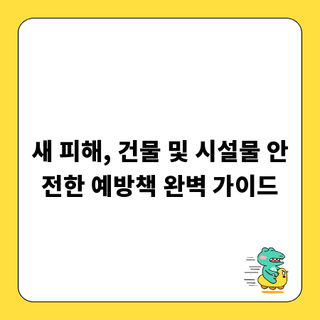 새 피해, 건물 및 시설물 안전한 예방책 완벽 가이드