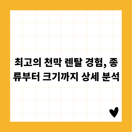 최고의 천막 렌탈 경험, 종류부터 크기까지 상세 분석
