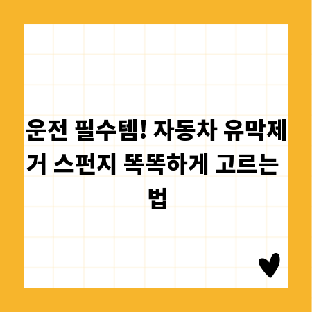 운전 필수템! 자동차 유막제거 스펀지 똑똑하게 고르는 법