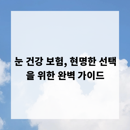 눈 건강 보험, 현명한 선택을 위한 완벽 가이드
