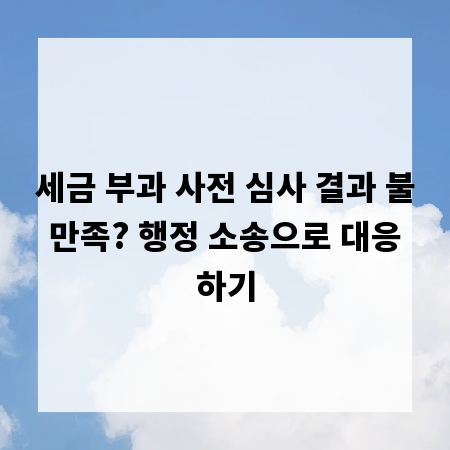 세금 부과 사전 심사 결과 불만족? 행정 소송으로 대응하기