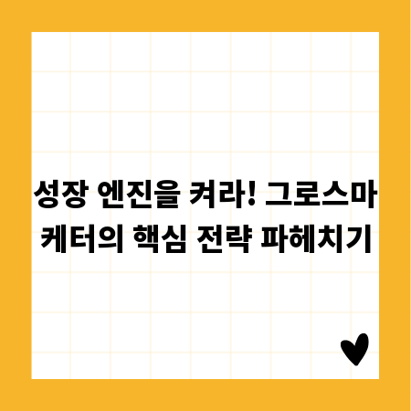 성장 엔진을 켜라! 그로스마케터의 핵심 전략 파헤치기