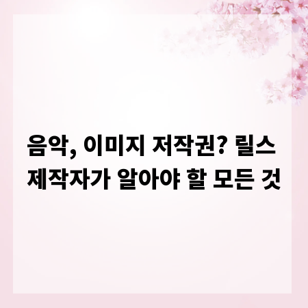 음악, 이미지 저작권? 릴스 제작자가 알아야 할 모든 것