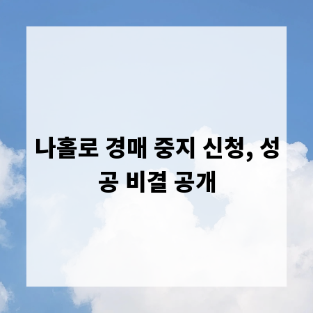 나홀로 경매 중지 신청, 성공 비결 공개