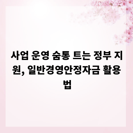 사업 운영 숨통 트는 정부 지원, 일반경영안정자금 활용법