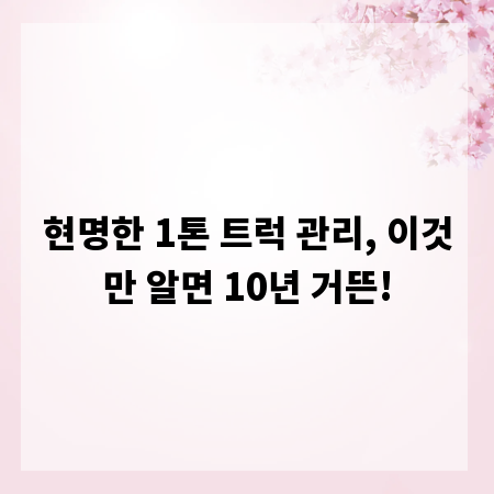 현명한 1톤 트럭 관리, 이것만 알면 10년 거뜬!