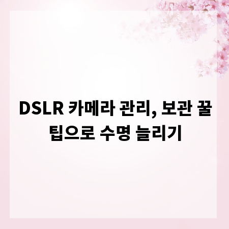 DSLR 카메라 관리, 보관 꿀팁으로 수명 늘리기