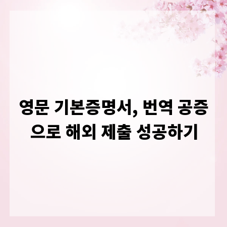 영문 기본증명서, 번역 공증으로 해외 제출 성공하기
