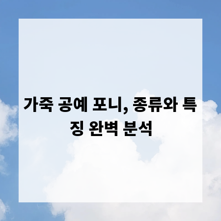 가죽 공예 포니, 종류와 특징 완벽 분석