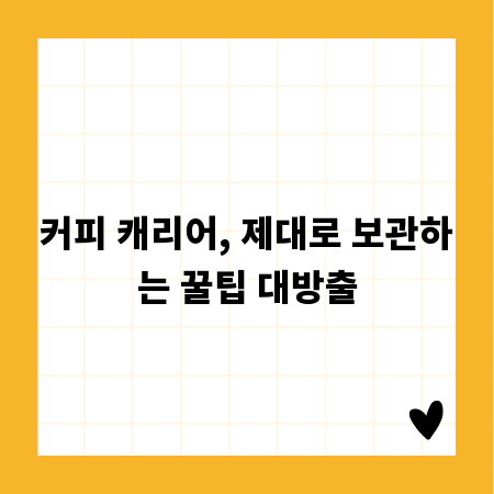 커피 캐리어, 제대로 보관하는 꿀팁 대방출
