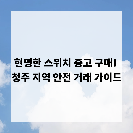 현명한 스위치 중고 구매! 청주 지역 안전 거래 가이드