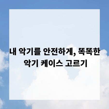 내 악기를 안전하게, 똑똑한 악기 케이스 고르기