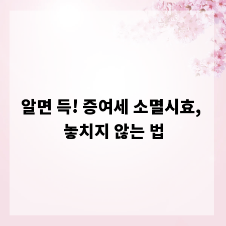 알면 득! 증여세 소멸시효, 놓치지 않는 법