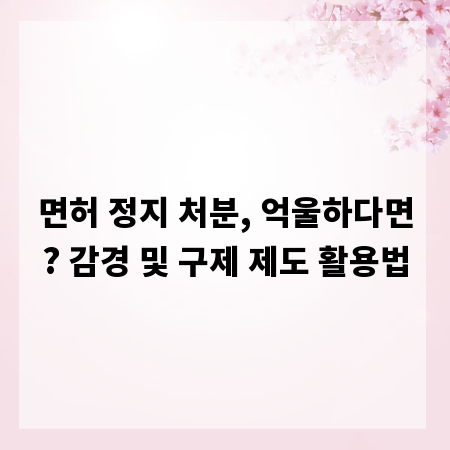 면허 정지 처분, 억울하다면? 감경 및 구제 제도 활용법