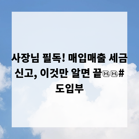사장님 필독! 매입매출 세금 신고, 이것만 알면 끝

# 도입부