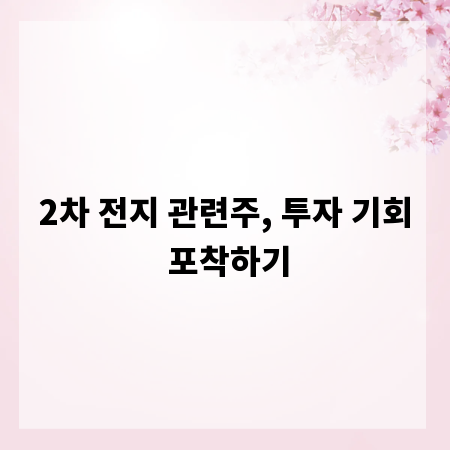 2차 전지 관련주, 투자 기회 포착하기