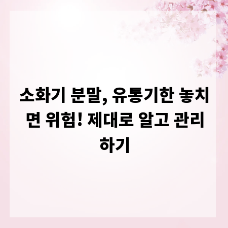 소화기 분말, 유통기한 놓치면 위험! 제대로 알고 관리하기