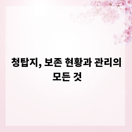 청탑지, 보존 현황과 관리의 모든 것